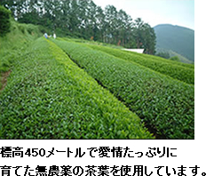 標高450メートルで愛情たっぷりに育てた無農薬の茶葉を使用しています。